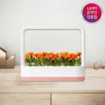LG 틔운 미니 식물생활가전 식물재배기 L012P1 핑크